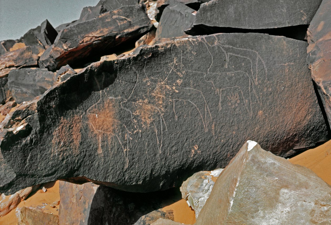 史前，岩画：表现牛的墓岩。塔兹纳风格。石器时代，公元前5000-2000年。阿尔及利亚Haut plateau du Hoggar (Ahaggar), Taghit. 作者 史前史前