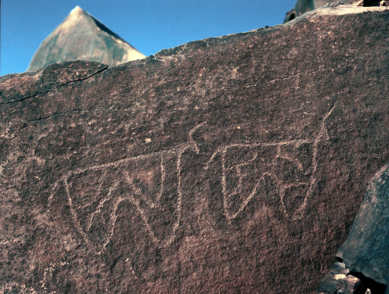 史前，岩画：表现牛的墓岩。塔兹纳风格。石器时代，公元前5000-2000年。阿尔及利亚Haut plateau du Hoggar (Ahaggar), Taghit. 作者 史前史前
