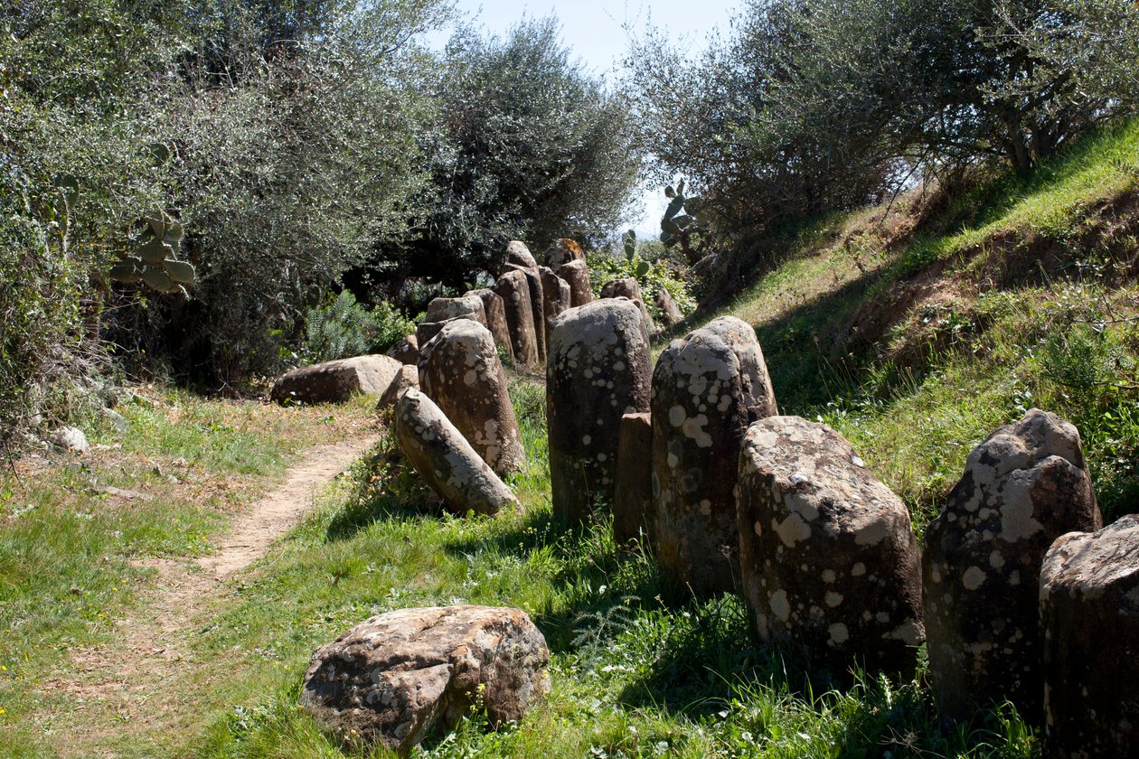 cromlech M Zora 考古遗址，位于 Sidi El Yamani（摩洛哥）。 新石器时代的墓地（公元前 2000 年），周围环绕着 167 块巨石。 作者 史前史前