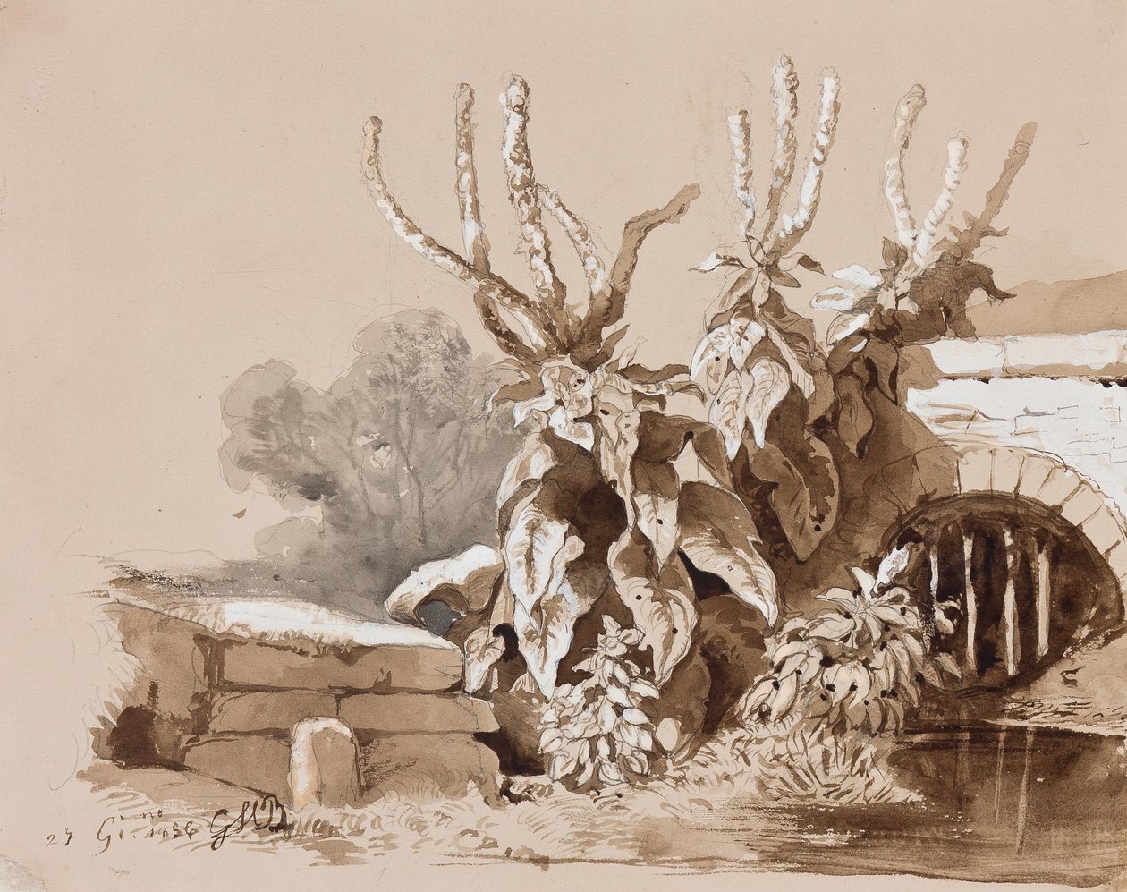 通过沟渠研究植物，1856年由教师添加（铅笔，棕褐色洗涤和水粉在纸上） 作者 盖塔诺亲王玛丽亚·费德里科·迪·博本