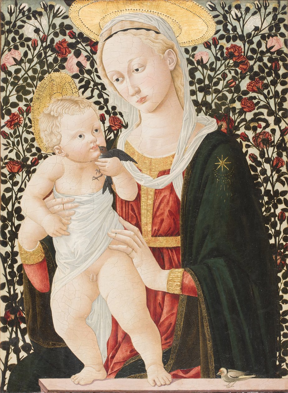 玫瑰的麦当娜，c.1485-90（蛋彩画） 作者 码头弗朗切斯科·菲奥伦蒂诺