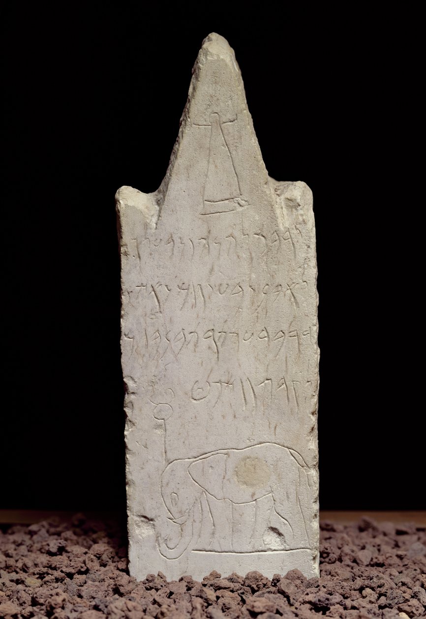 与大象的投票石，来自迦太基，公元前3世纪至公元前2世纪（石灰岩） 作者 布尼奇