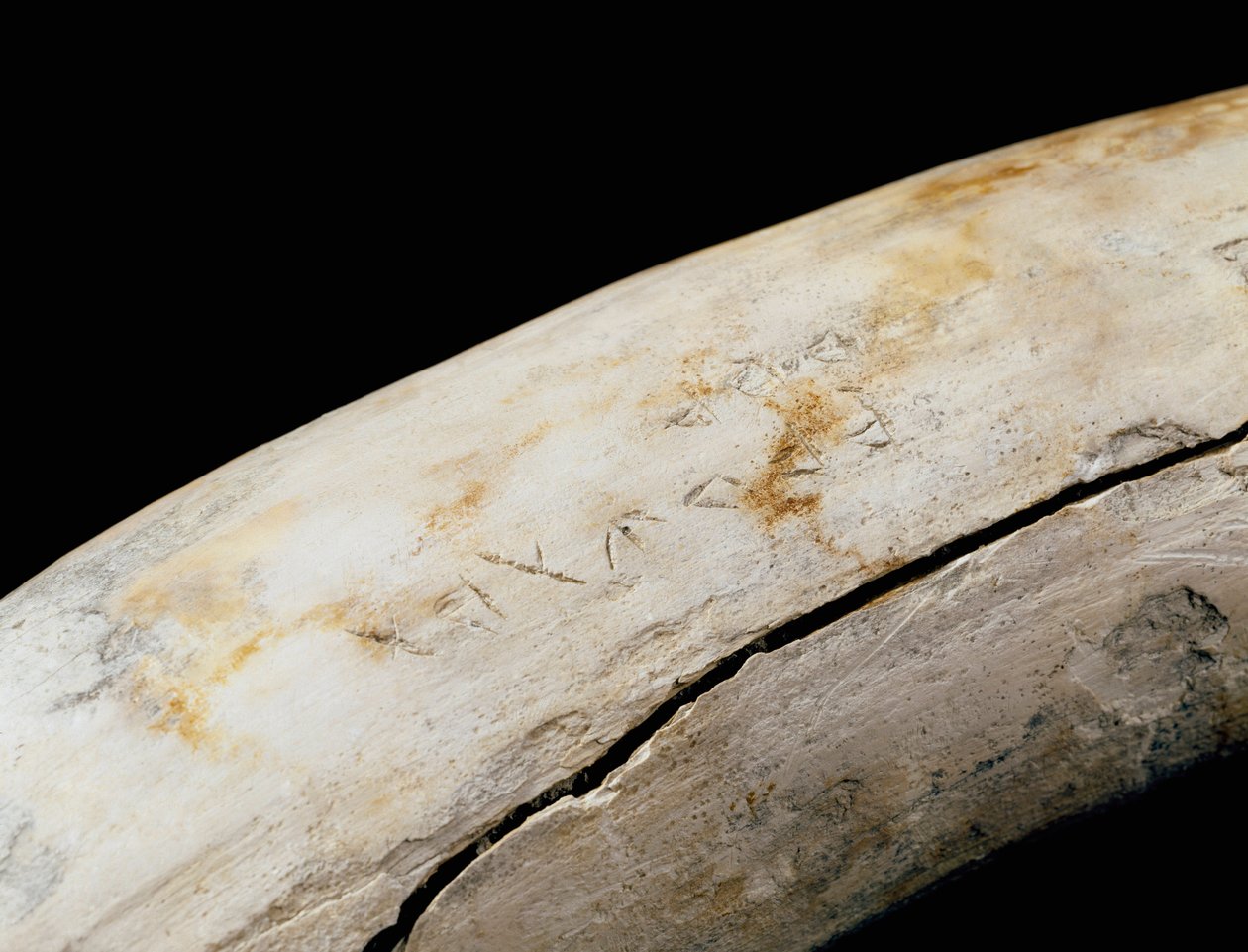 布匿艺术（迦太基人）：刻有铭文的象牙防御。来自Bajo de la Campana (Cartagena) Museo de Cartagena Cartagena 西班牙 作者 布尼奇布尼奇