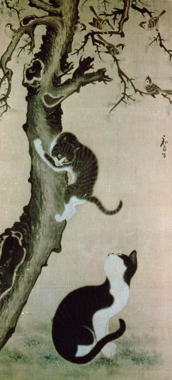 17世纪的猫（丝绸上的墨水） 作者 潘桑By