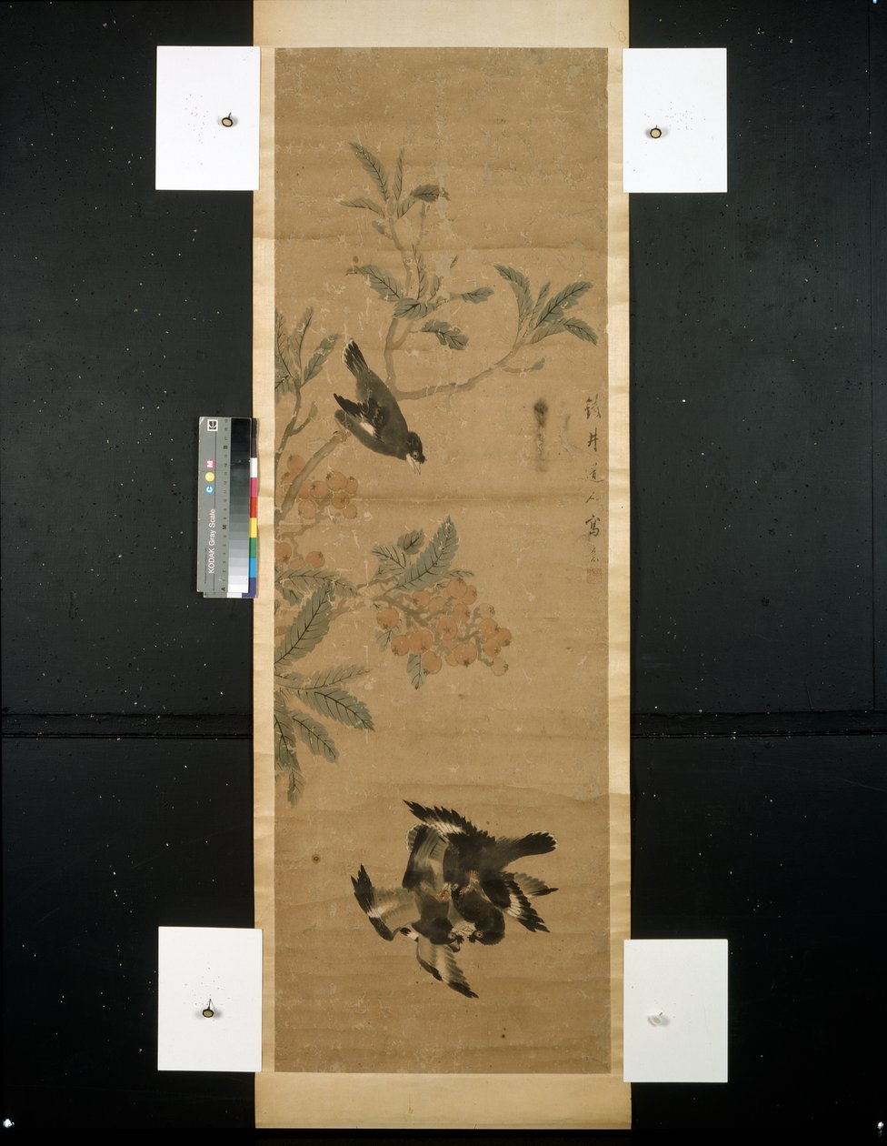 鸟类和树枝 作者 清代中文学校
