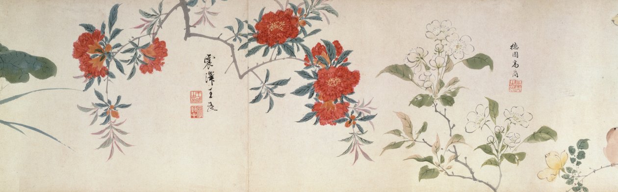 花，手卷（纸上水墨和彩色）。 作者 清代中文学校