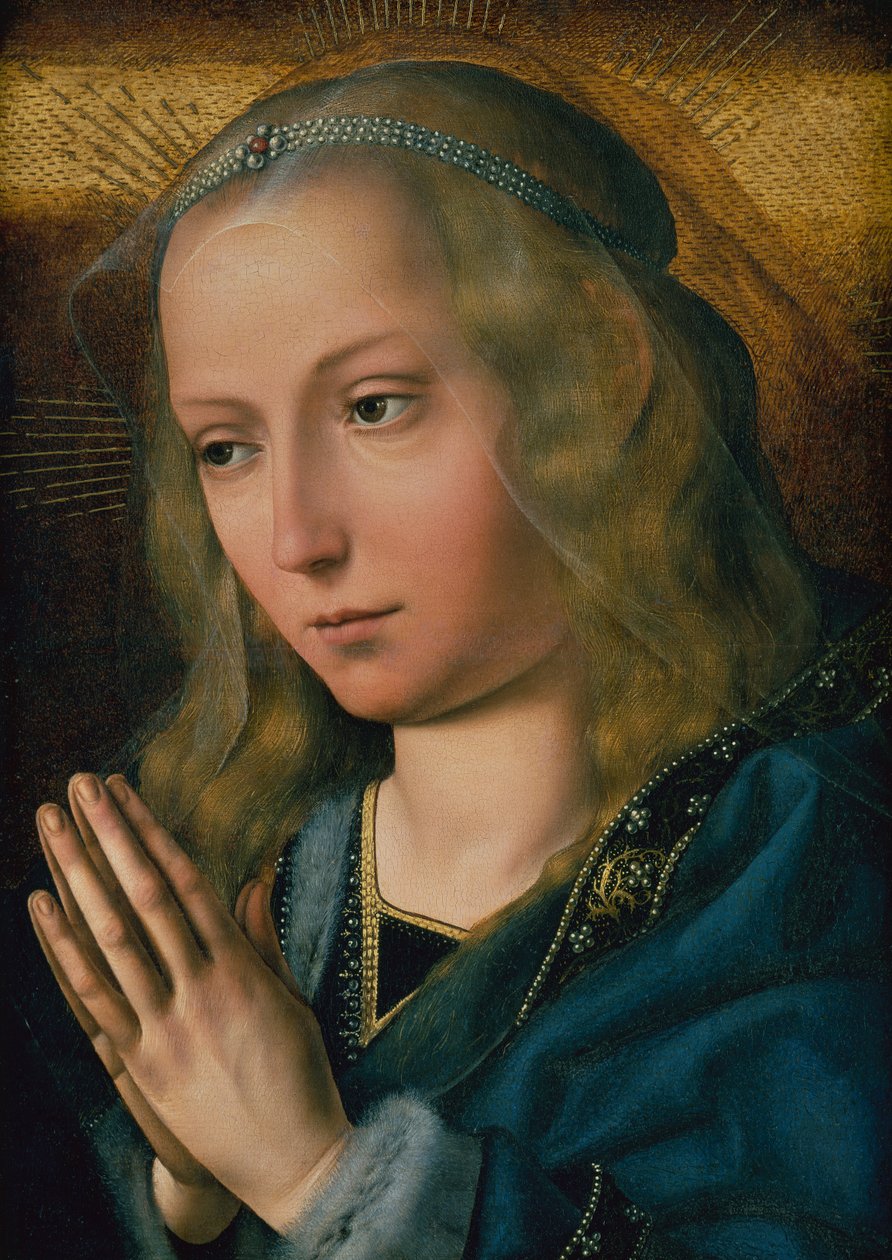 崇拜中的圣母》，约1491-1505年（油画板）。 作者 Quentin Massys 或 Metsys