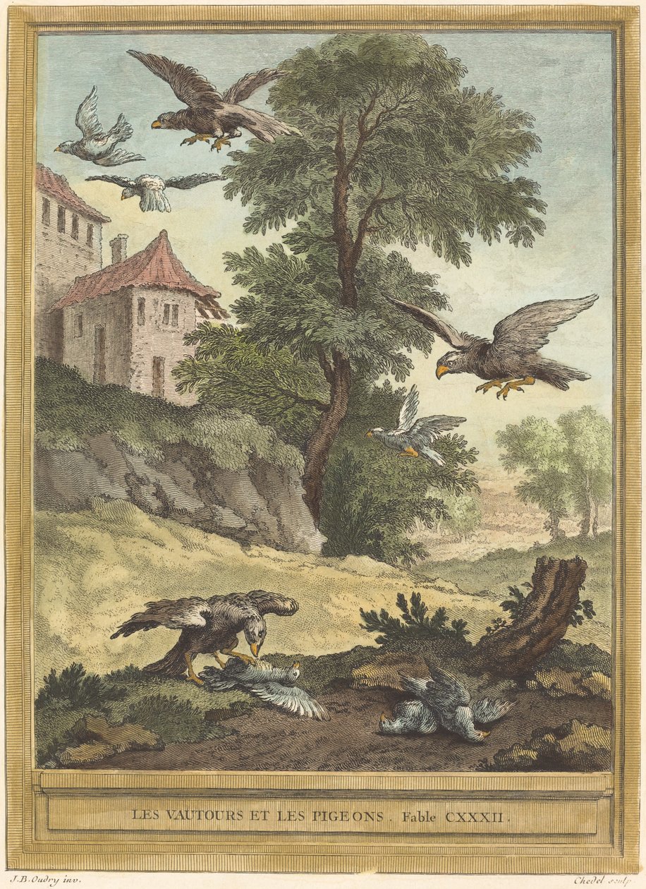 秃鹰和鸽子 作者 让·巴蒂斯特·乌德里 (Jean Baptiste Oudry) 之后的昆汀·皮埃尔·切德尔