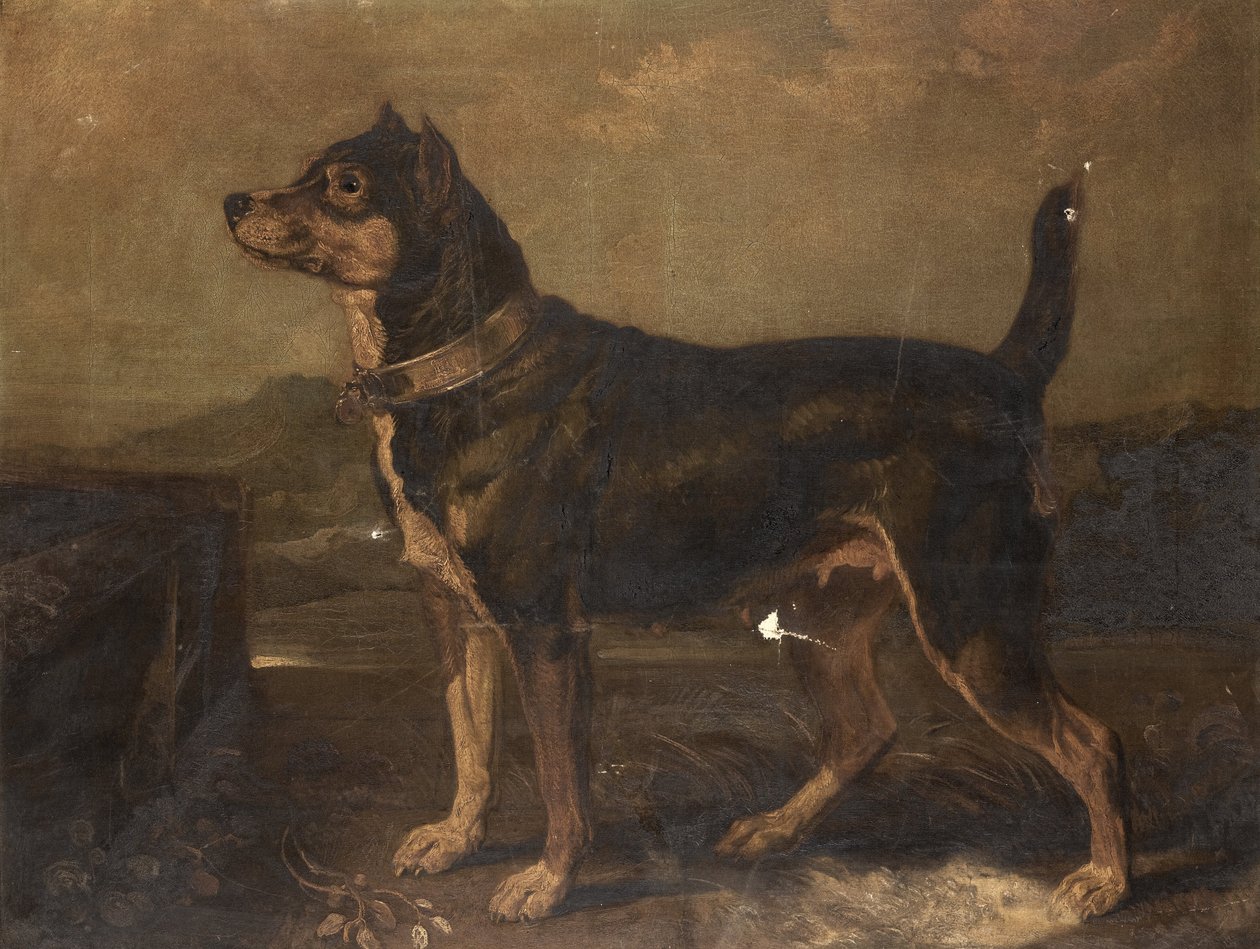 在景观中的小猎犬 作者 詹姆斯·沃德