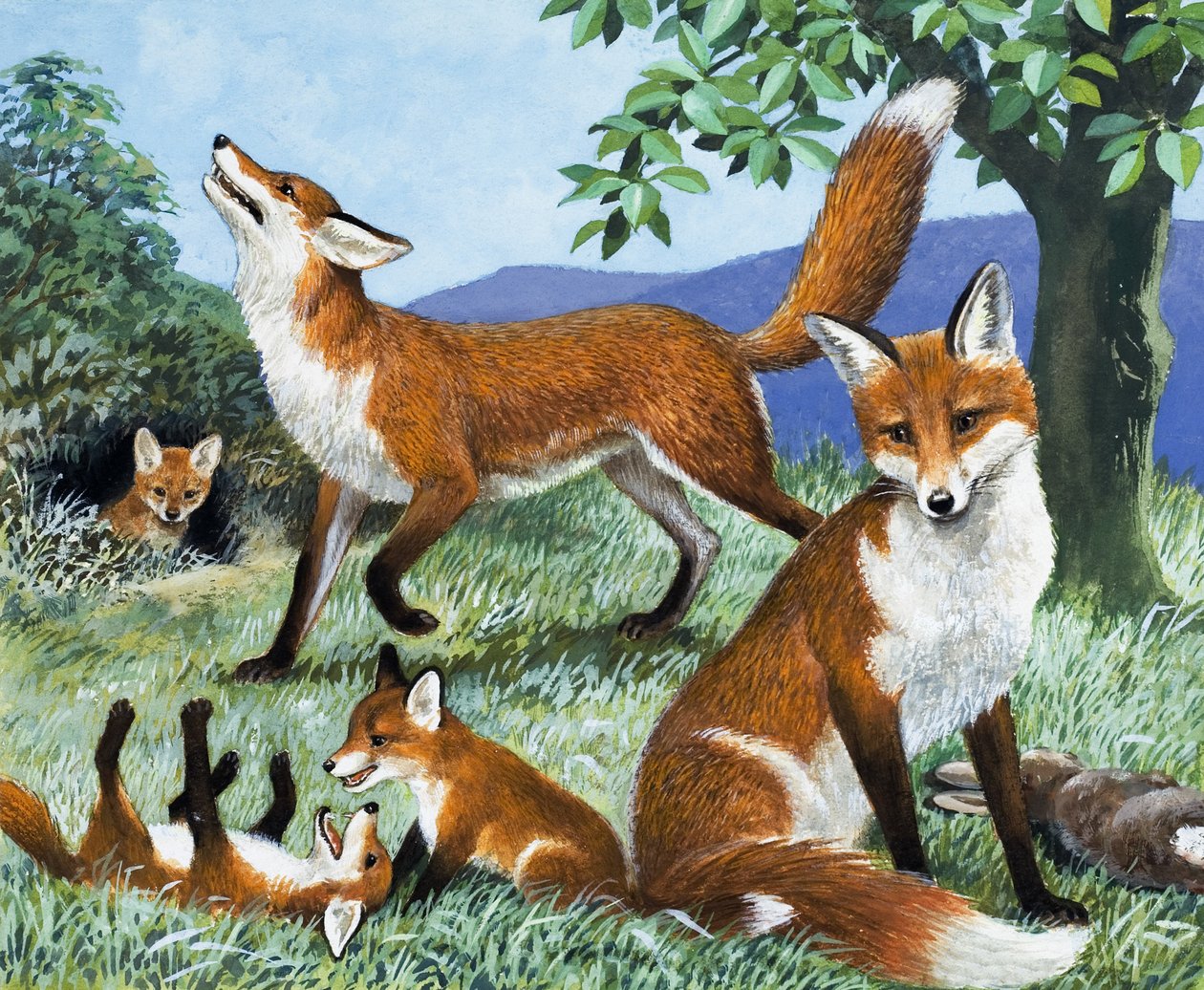我们岛上的猎人，选自 "自然王国"（水粉画，纸本） 作者 RB戴维斯