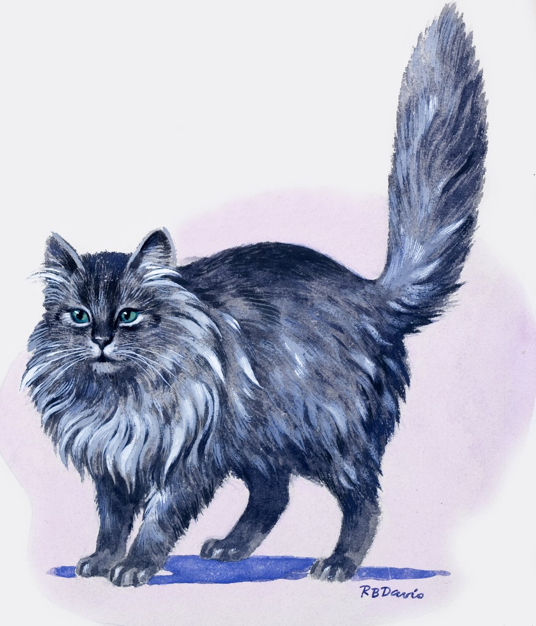 波斯猫，选自《宝藏 作者 RB戴维斯