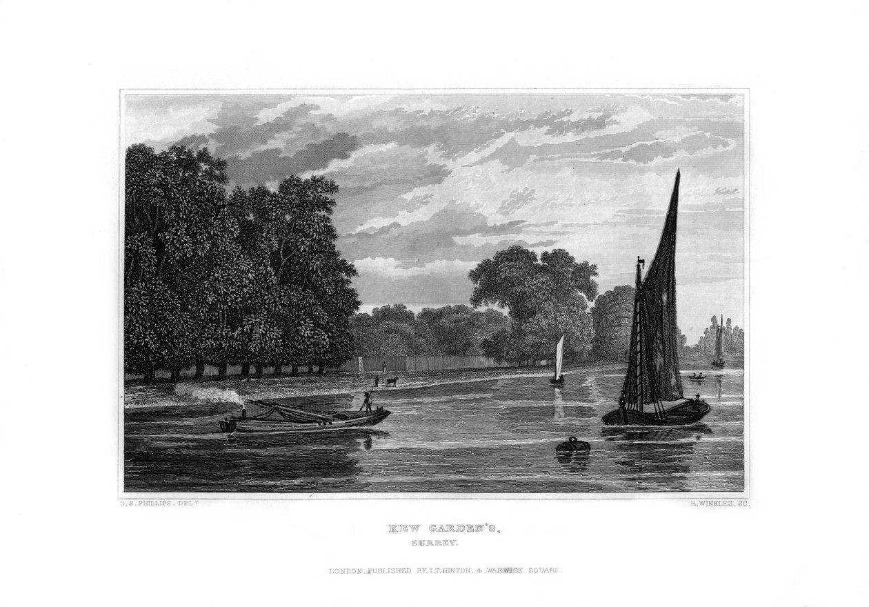 邱园（Kew Gardens），伦敦，1829年。 作者 R·温克尔斯