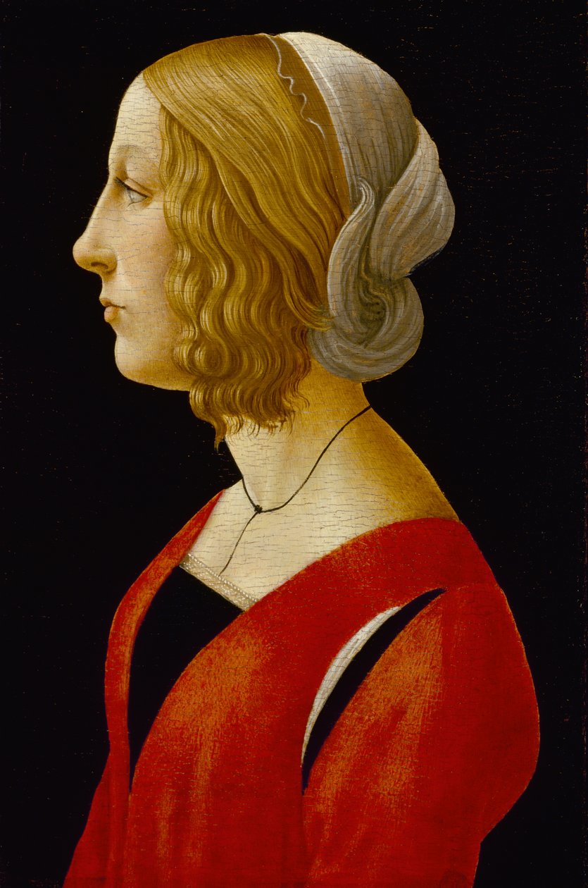 一个年轻女子的半身像，c.1485-90（面板上的蛋彩画） 作者 拉斐尔·德尔·嘉宝