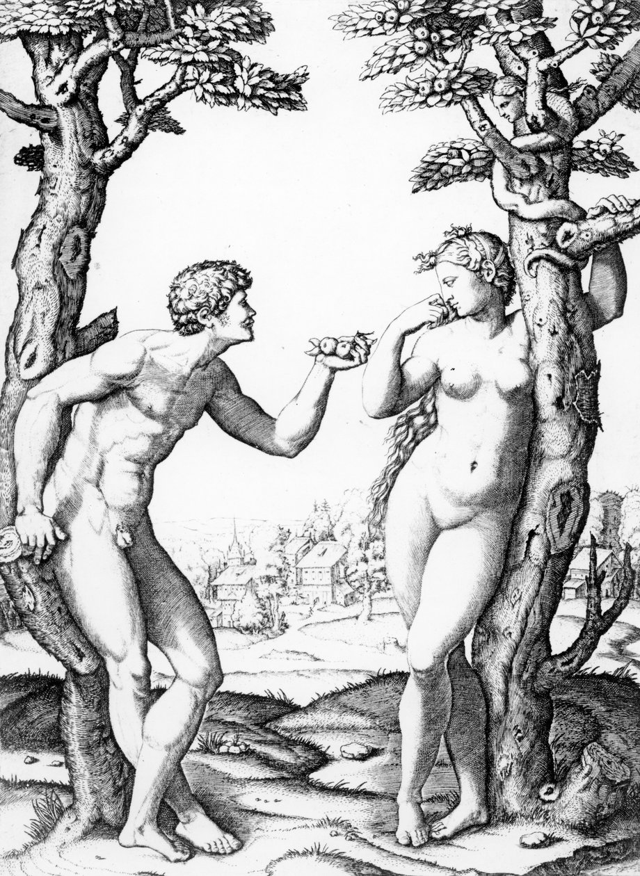 亚当和夏娃，由Marcantonio雕刻，1520年 作者 拉斐尔（Raffaello Sanzio Raphael）