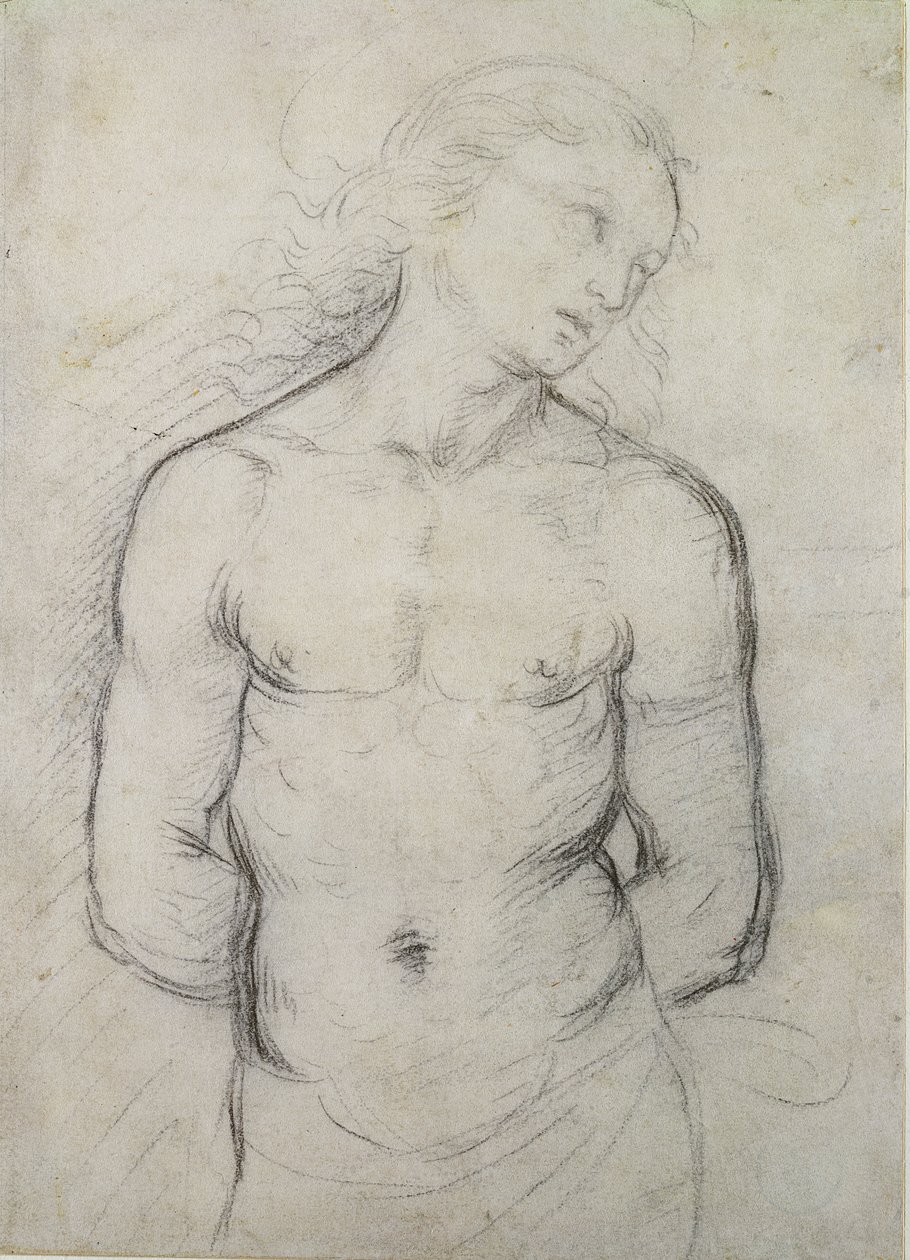 圣塞巴斯蒂安，1499-1500（白纸上的黑色粉笔） 作者 拉斐尔（Raffaello Sanzio Raphael）