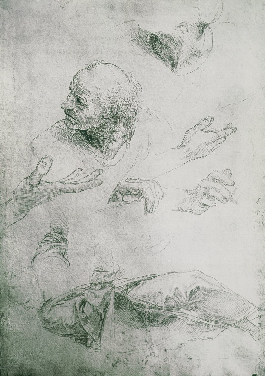 研究布拉曼特（1444-1515） 作者 拉斐尔（Raffaello Sanzio Raphael）