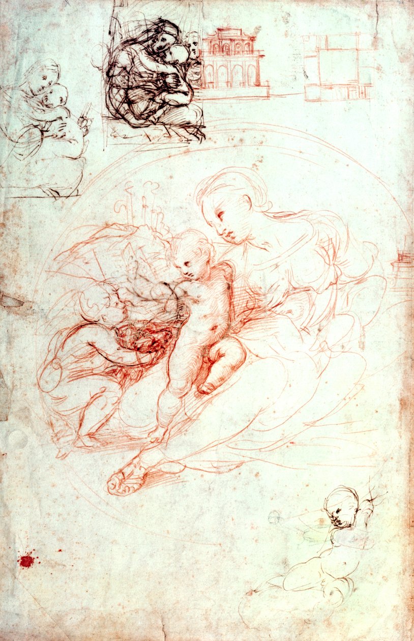 研究阿尔巴麦当娜，c.1508-09 作者 拉斐尔（Raffaello Sanzio Raphael）
