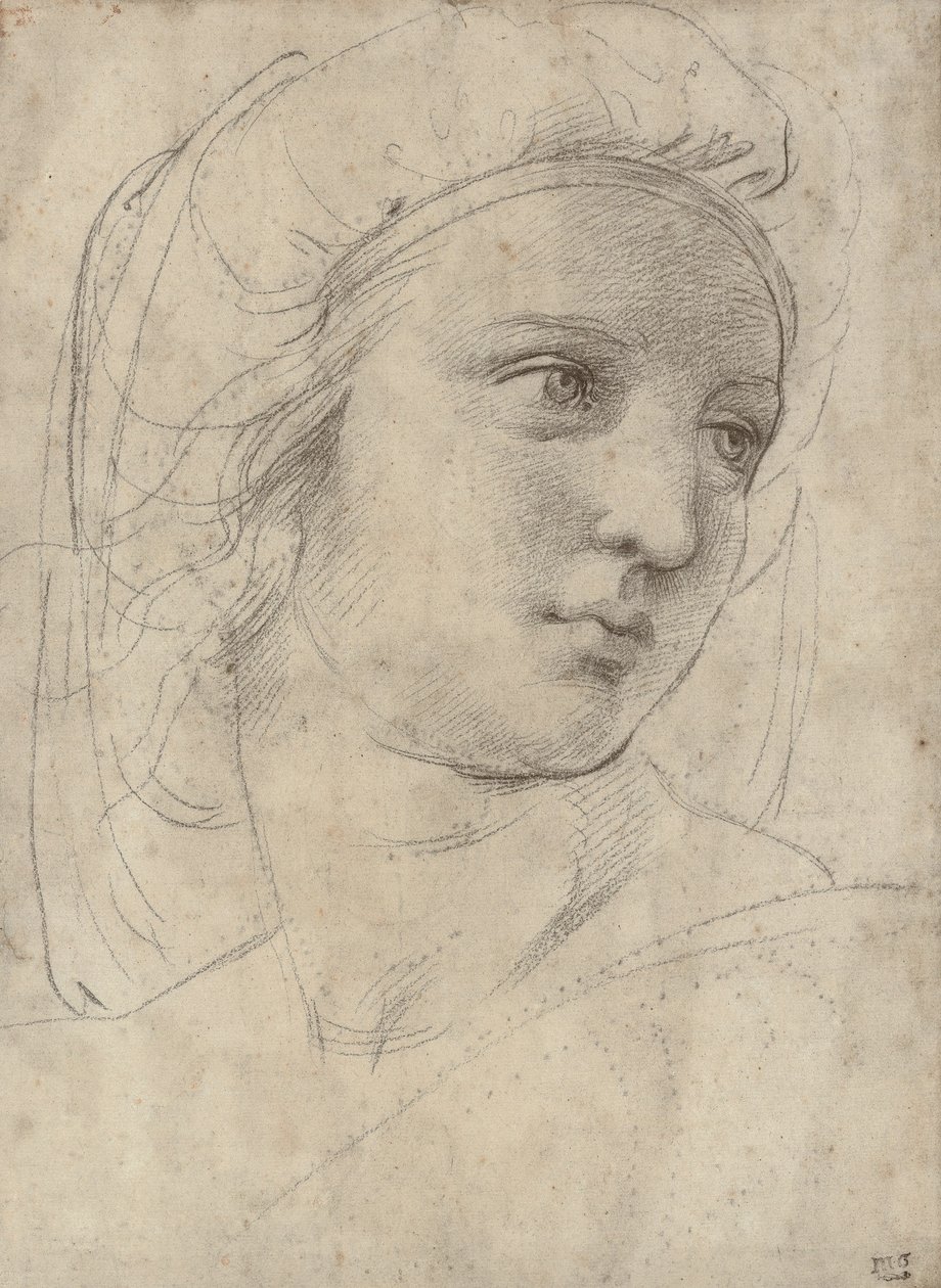 缪斯的头 作者 拉斐尔（Raffaello Sanzio Raphael）
