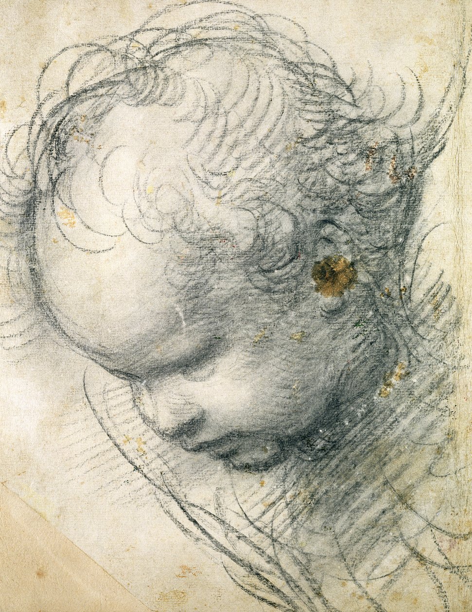 小天使的头（黑色粉笔和纸上的木炭） 作者 拉斐尔（Raffaello Sanzio Raphael）