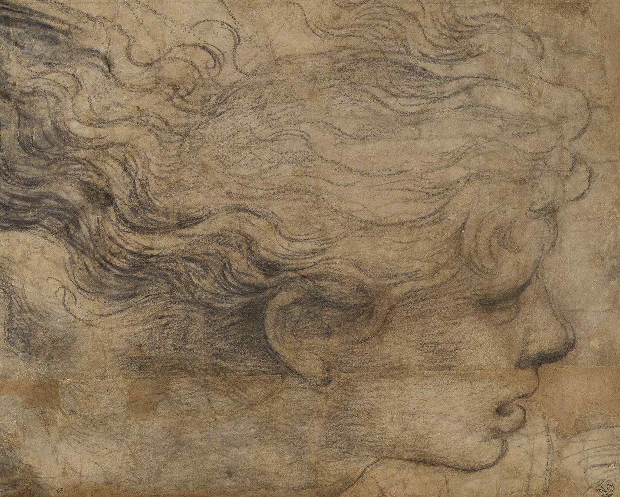 天使头 作者 拉斐尔（Raffaello Sanzio Raphael）