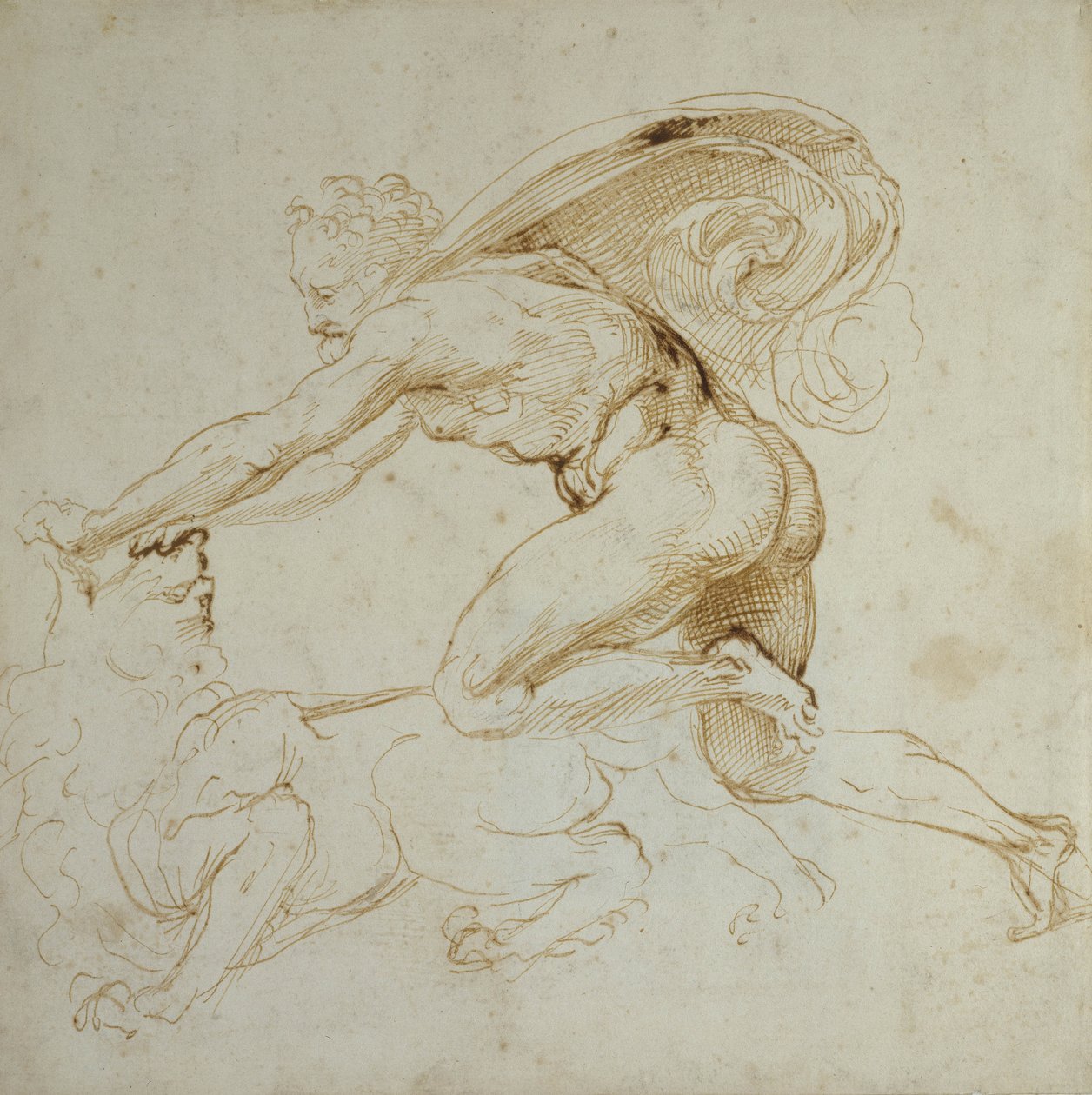 赫拉克勒斯压倒狮子（白纸上的钢笔和棕色墨水） 作者 拉斐尔（Raffaello Sanzio Raphael）