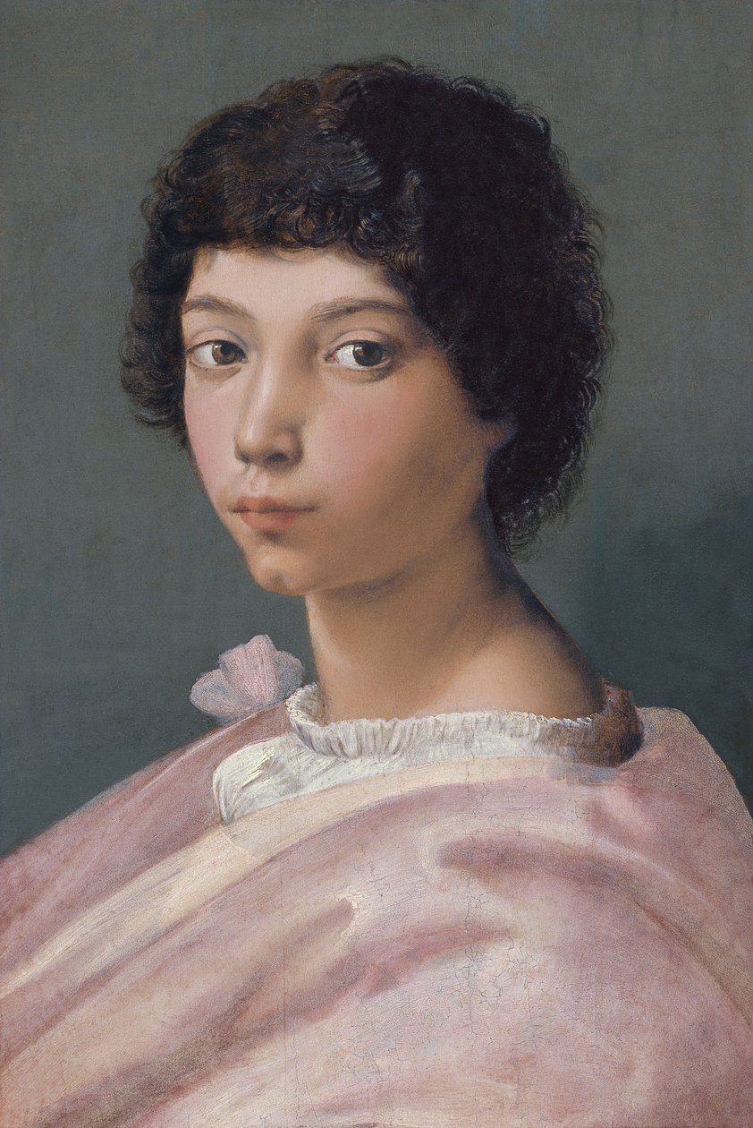 一个年轻人的肖像 作者 拉斐尔（Raffaello Sanzio Raphael）