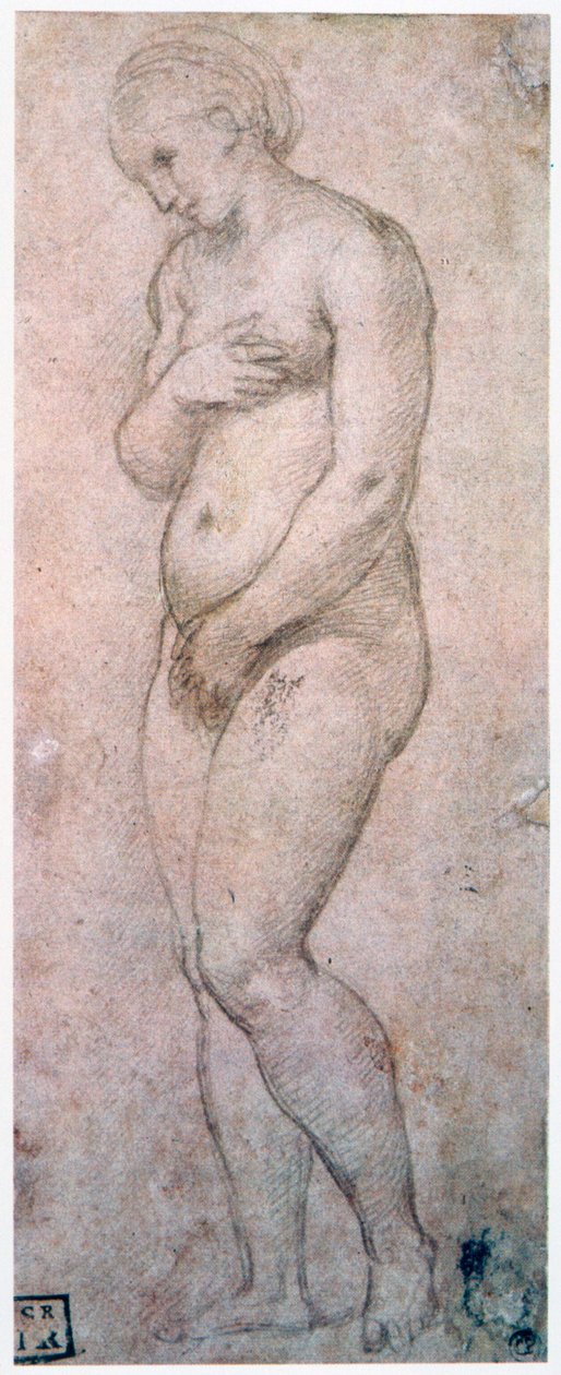 金星的研究，c1500-1520 作者 拉斐尔（Raffaello Sanzio Raphael）