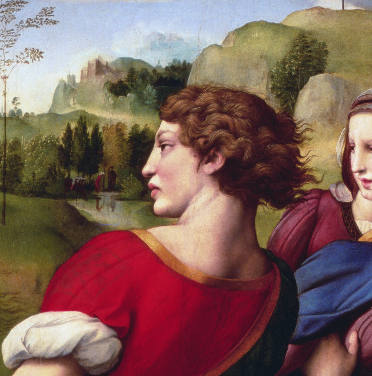 沉积（细节），1507 作者 拉斐尔（Raffaello Sanzio Raphael）