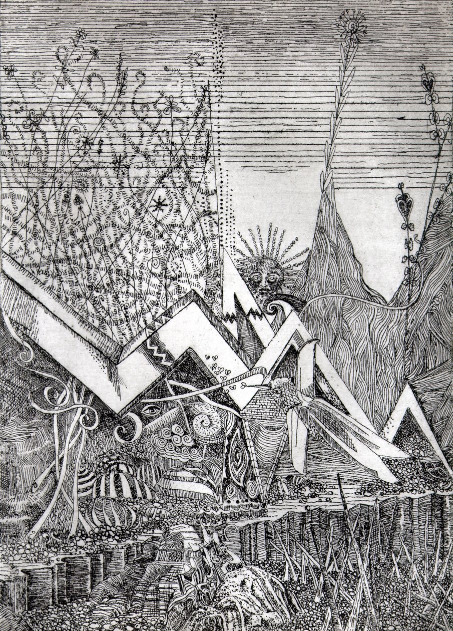 蜂鸟 作者 雷蒙多甘比诺