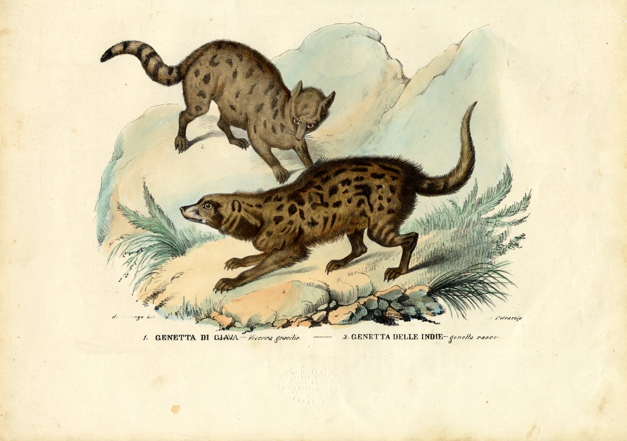 Genet，1863-79 作者 雷蒙多·彼得罗亚