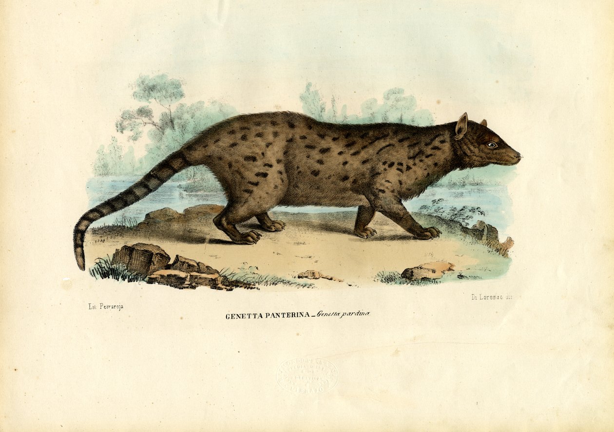 Pardine Genet，1863-79 作者 雷蒙多·彼得罗亚