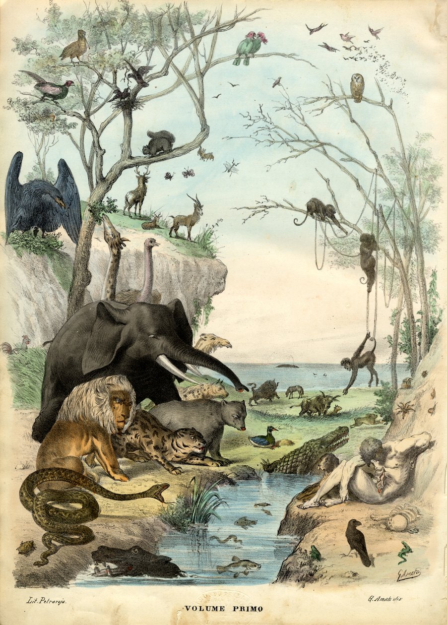 标题页，1863-79 作者 雷蒙多·彼得罗亚