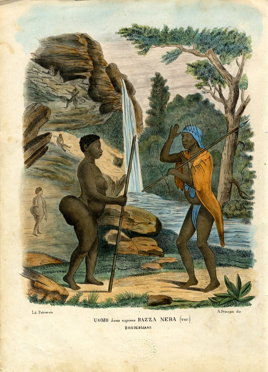 Hottentots，1863-79 作者 雷蒙多·彼得罗亚