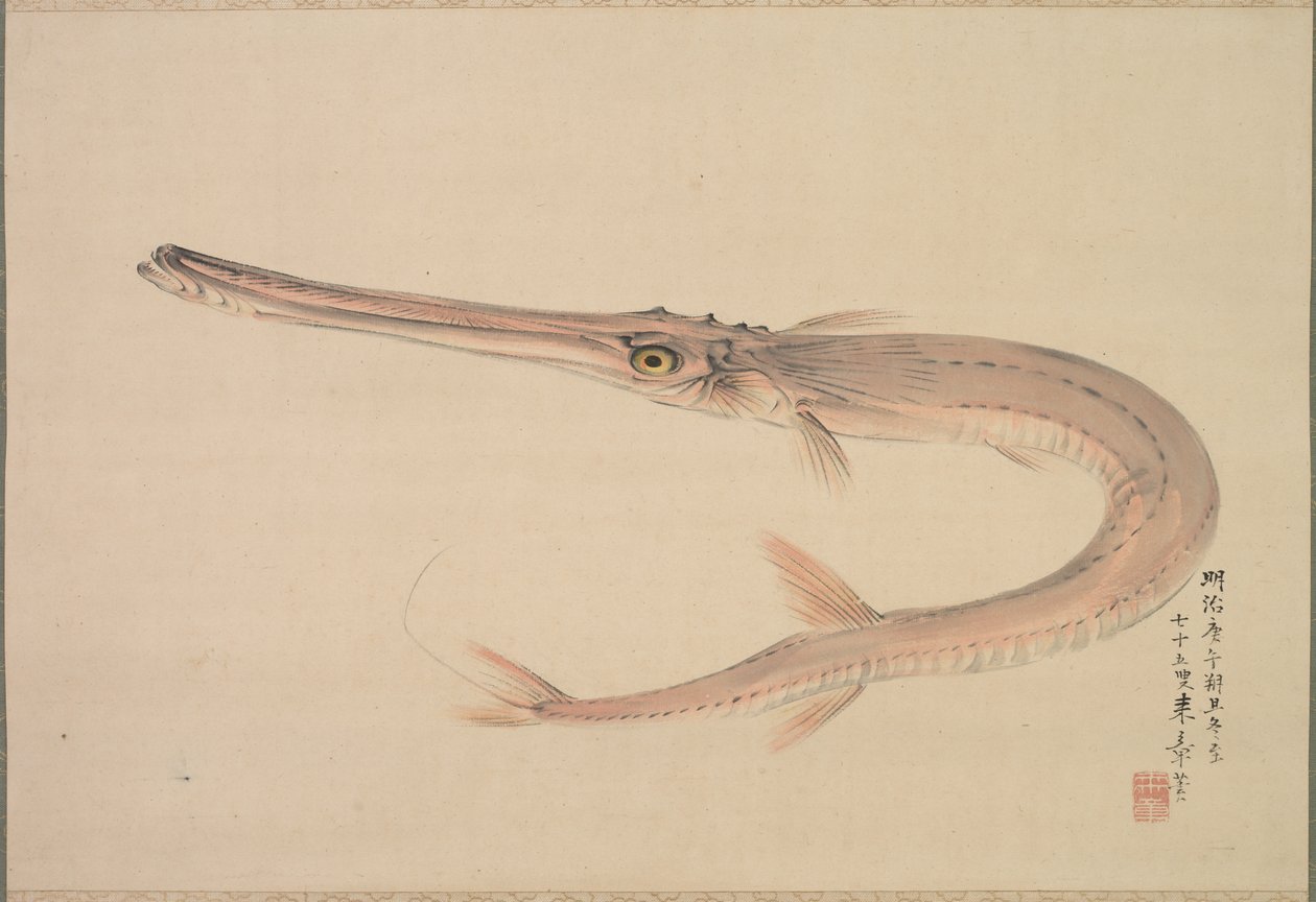 针鱼 Yagara, 1870. 作者 中岛莱尚