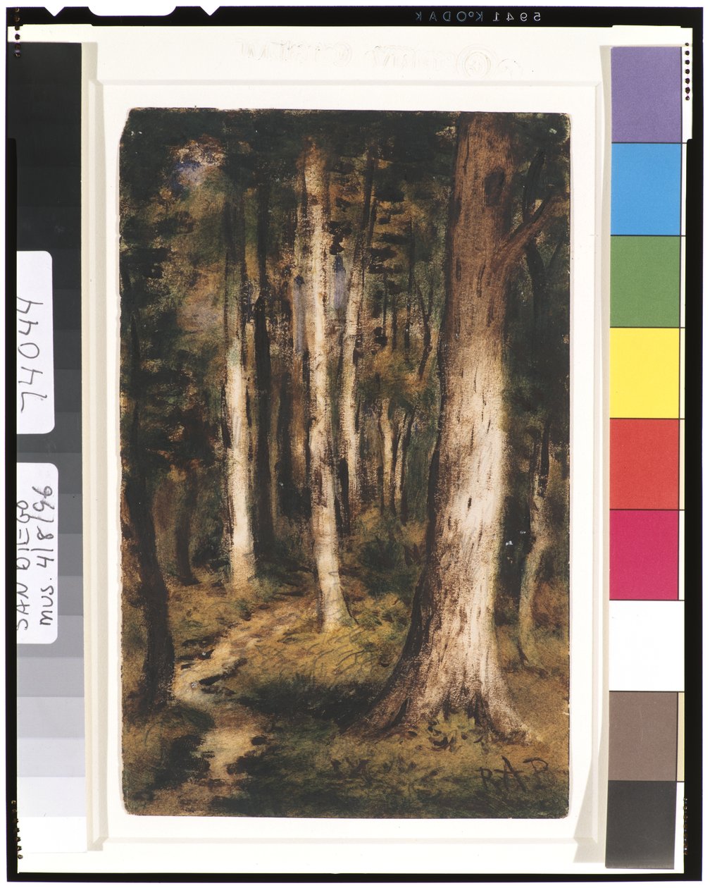 森林场景，1901-15 作者 拉尔夫·阿尔伯特·布莱克洛克