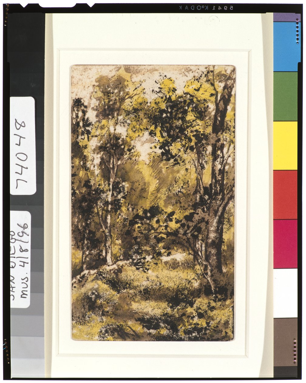 森林场景，1901-15 作者 拉尔夫·阿尔伯特·布莱克洛克