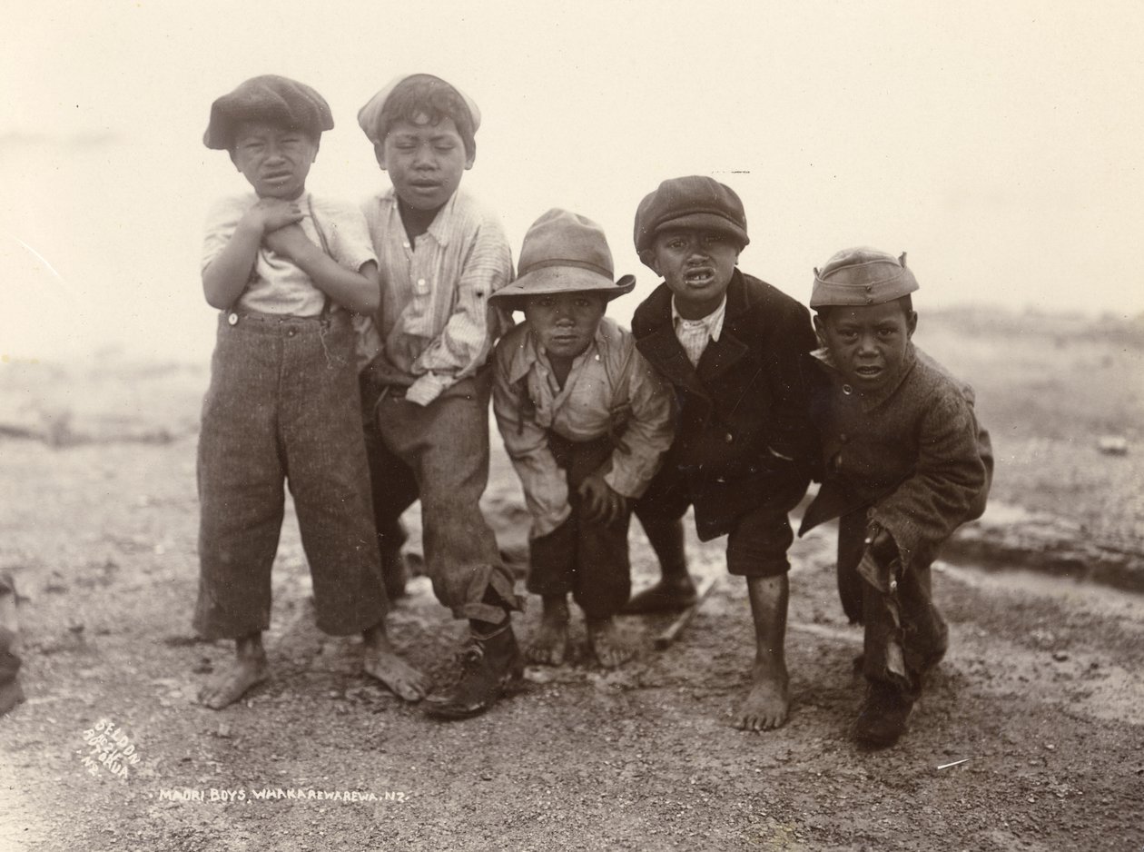 毛利男孩，Whakarewarewa，c.1910（银色明胶印刷品） 作者 拉尔夫·塞尔登