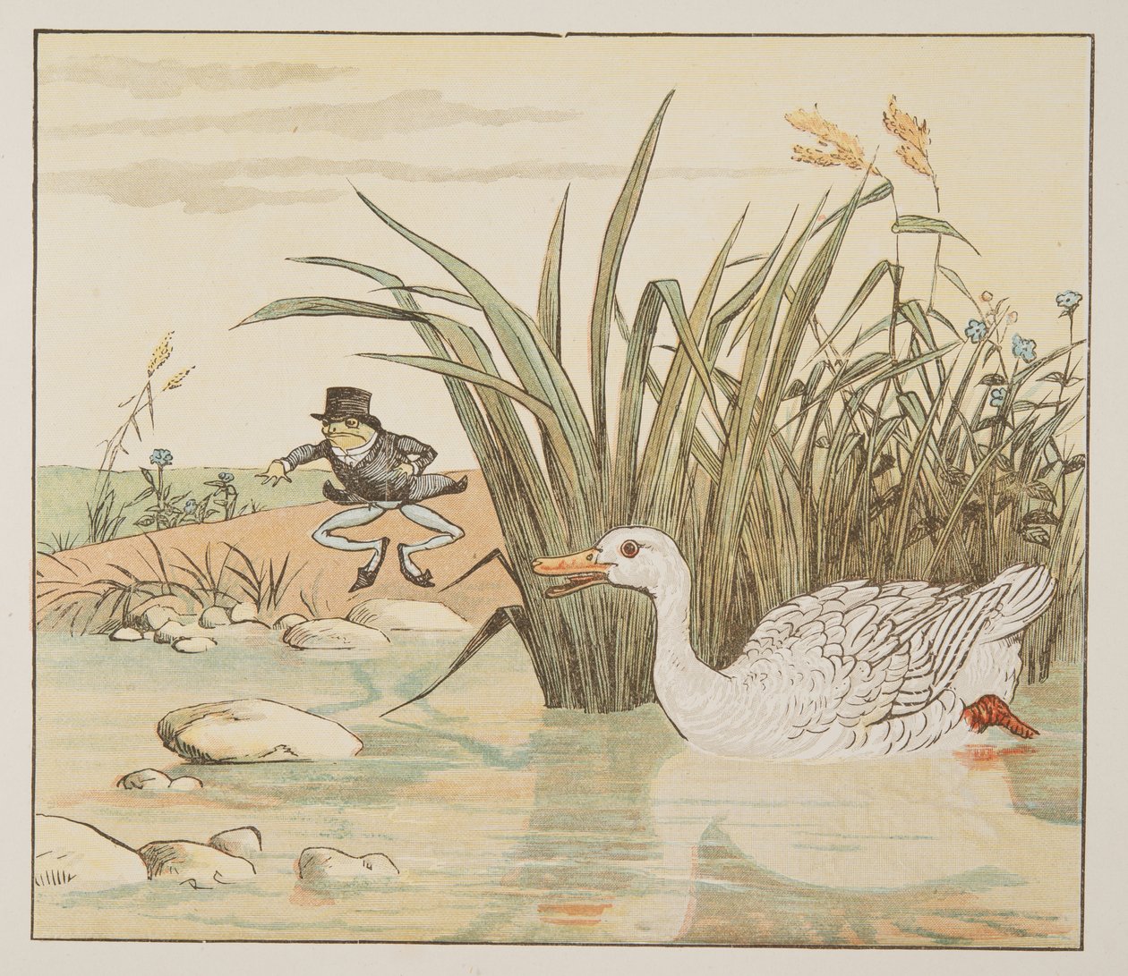 一只白百合的鸭子过来把他吞了下去，来自 The Hey Diddle Diddle 图画书，pub.1882（彩色雕刻） 作者 伦道夫·卡尔德科特