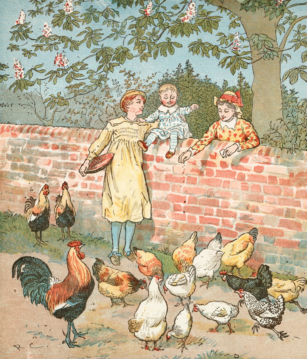  作者 伦道夫·卡尔德科特