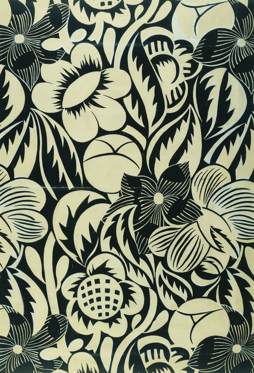 黑与白的花；Les Fleurs Noires et Blanches 作者 拉乌尔·杜菲