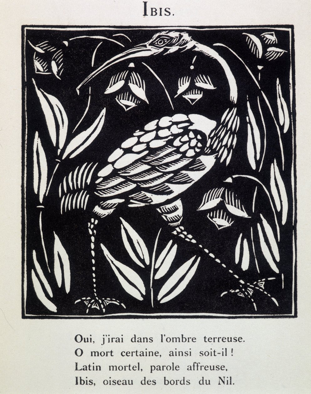 朱鹮--纪尧姆-阿波利奈尔（Raoul Dufy，1877 - 1953 年）的《Le Bestiaire ou cortege d