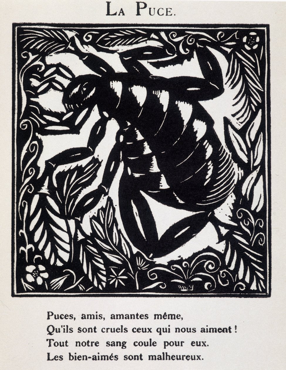 La puce - 在纪尧姆-阿波利奈尔（1877 - 1953 年）的《Le Bestiaire ou cortege d