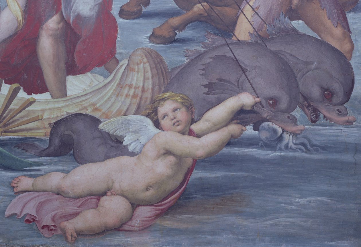 Galatea，putto和海豚细节，1506壁画细节56473 作者 拉斐尔（Raffaello Sanzio Raphael）