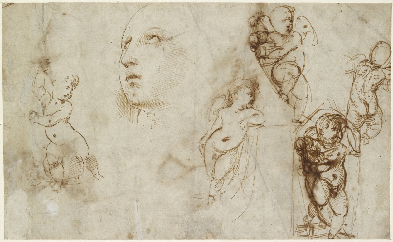 Recto：Borghese-Beckford St Catherine的女性头像和各种putti，WA1846.177 作者 拉斐尔（Raffaello Sanzio Raphael）