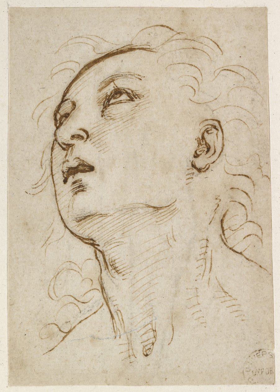 Recto：一名年轻男子的头向上凝视，WA1846.156 作者 拉斐尔（Raffaello Sanzio Raphael）