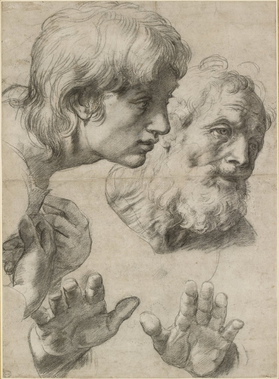 研究两位使徒和他们的手的头，WA1846.209 作者 拉斐尔（Raffaello Sanzio Raphael）