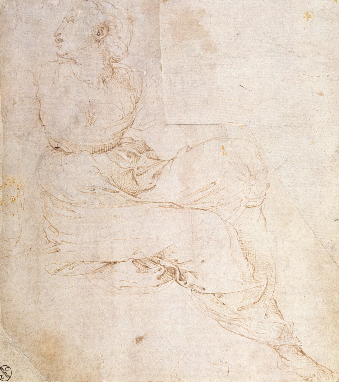 研究Erato，为&39;The Parnassus&39;，1510-11 作者 拉斐尔（Raffaello Sanzio Raphael）
