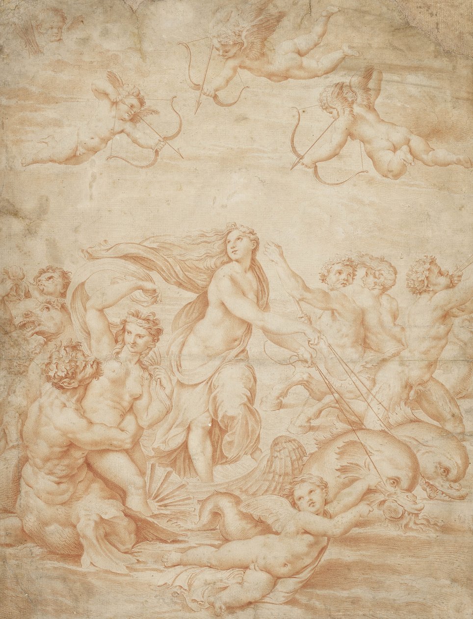 Galatea的胜利（浅粉红色纸上的红色粉笔） 作者 拉斐尔（Raffaello Sanzio Raphael）