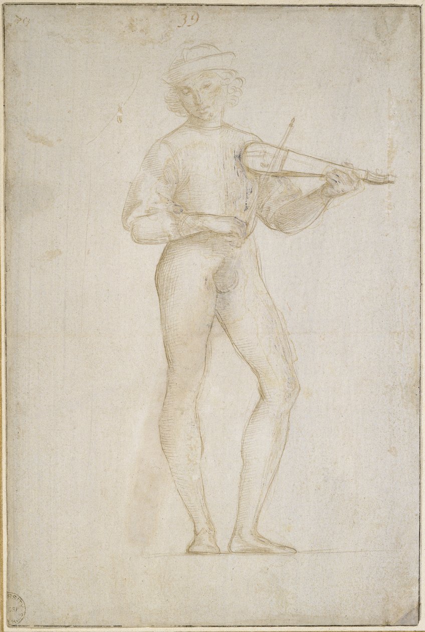 两项研究 作者 拉斐尔（Raffaello Sanzio Raphael）