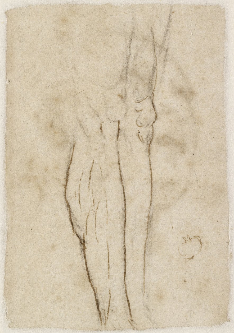 Verso：一对腿的草图，WA1846.156 作者 拉斐尔（Raffaello Sanzio Raphael）
